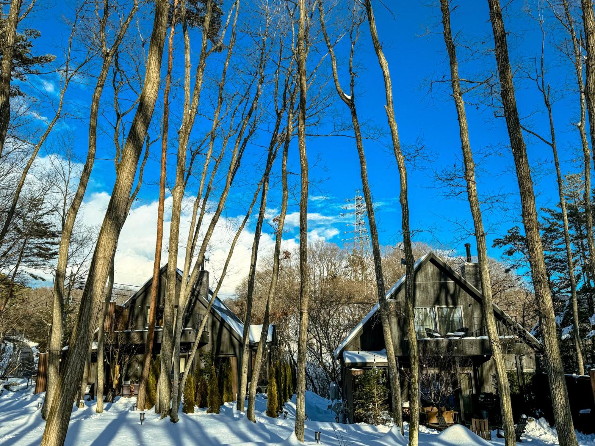 Sauna Forest Cabin 軽井沢 御代田　Mori-Asobi Oiwake 外观 照片