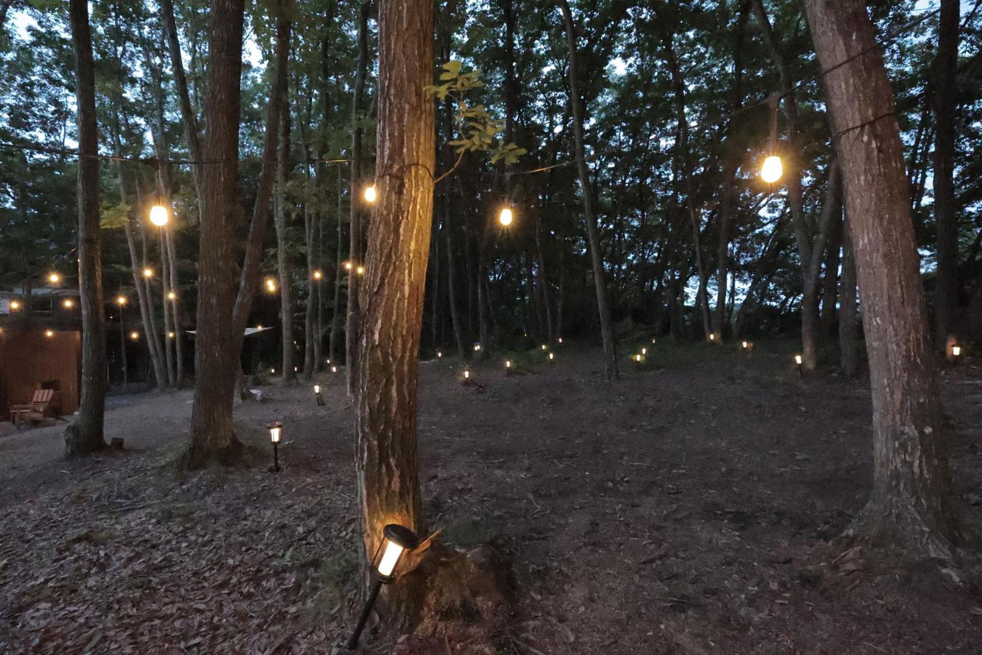 Sauna Forest Cabin 軽井沢 御代田　Mori-Asobi Oiwake 外观 照片